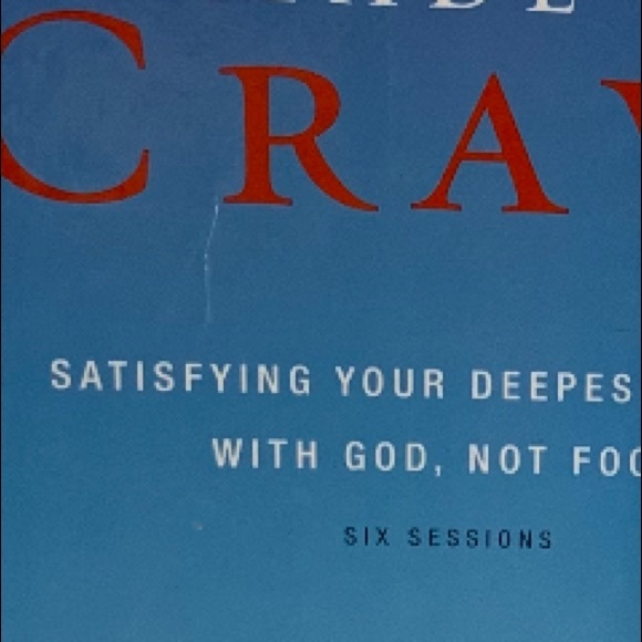 Made to Crave Book, Study Guide that includes DVD by Lisa Terkeurst - Picture 11 of 11